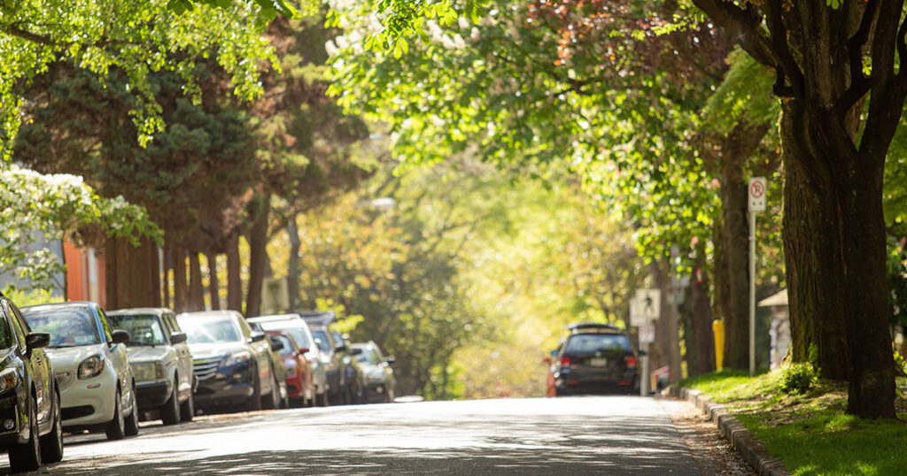 Rua arborizada em Itapetininga, em São Paulo.