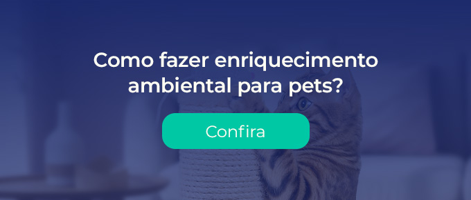 Como fazer enriquecimento ambiental para pets?